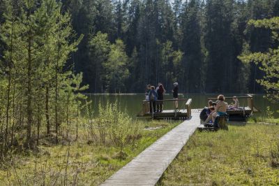 Klpsa pildi vaatamiseks tissuuruses