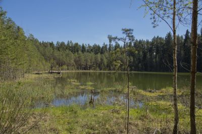 Klpsa pildi vaatamiseks tissuuruses
