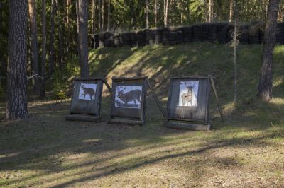 Klpsa pildi vaatamiseks tissuuruses