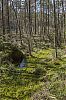 Faili nimi=_31A5359.JPG
Faili maht=1622KiB
Mõõdud=1280x1920
Lisamiskuupäev=mai 13, 2016 _31A5359.JPG