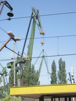 Klpsa pildi vaatamiseks tissuuruses