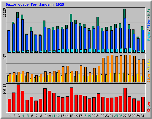 Daily usage for January 2025