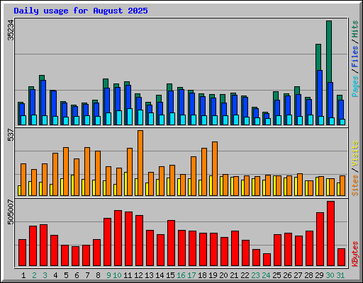Daily usage for August 2025