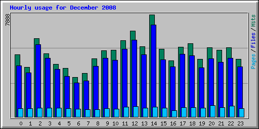 Hourly usage for December 2008