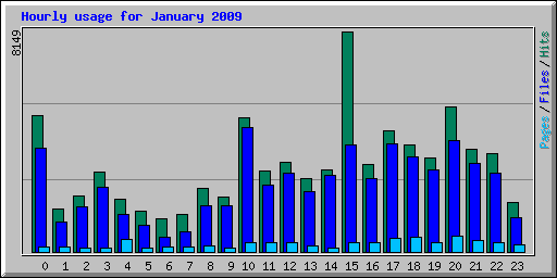 Hourly usage for January 2009