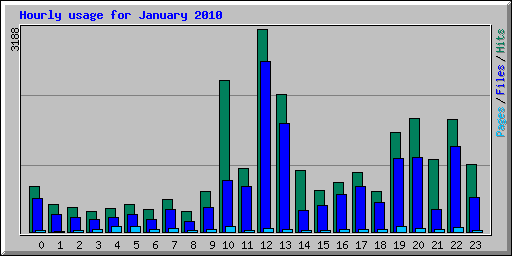 Hourly usage for January 2010