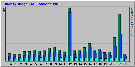 Hourly usage for December 2010