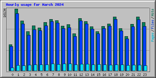 Hourly usage for March 2024
