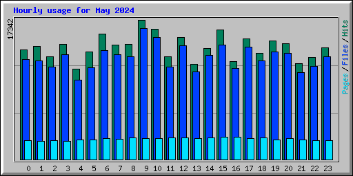 Hourly usage for May 2024