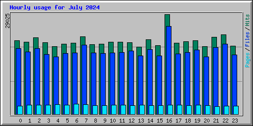 Hourly usage for July 2024