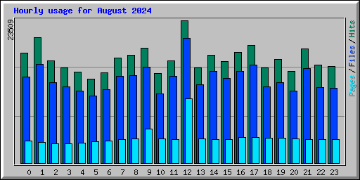 Hourly usage for August 2024