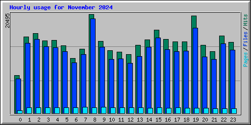 Hourly usage for November 2024