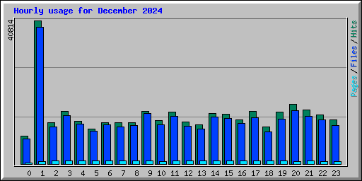 Hourly usage for December 2024