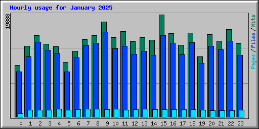 Hourly usage for January 2025