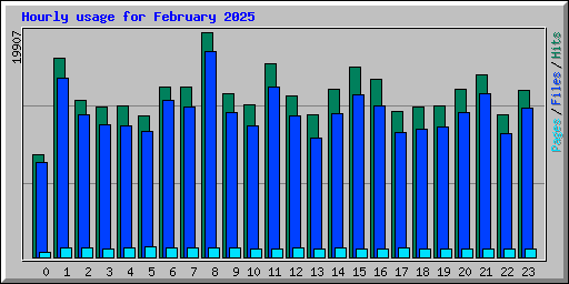 Hourly usage for February 2025