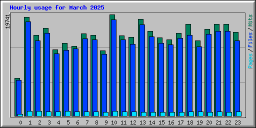 Hourly usage for March 2025