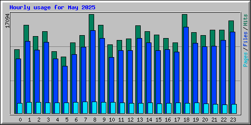 Hourly usage for May 2025