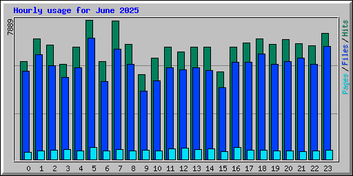 Hourly usage for June 2025