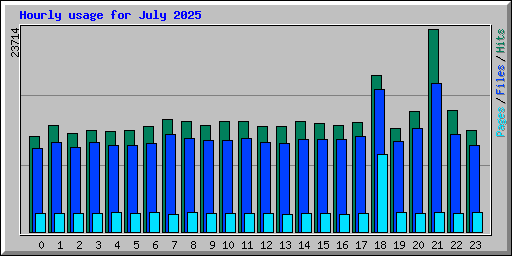 Hourly usage for July 2025