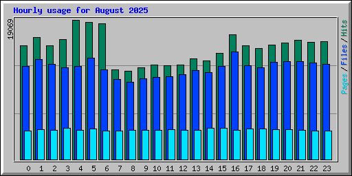 Hourly usage for August 2025