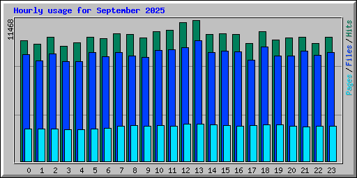 Hourly usage for September 2025