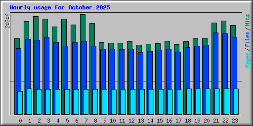 Hourly usage for October 2025
