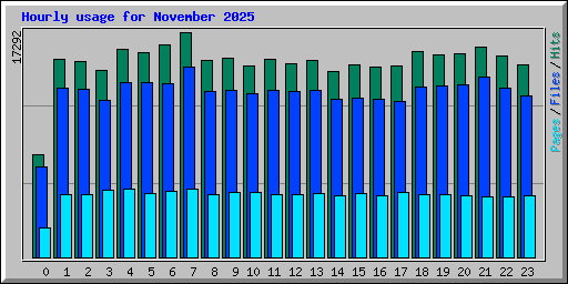 Hourly usage for November 2025