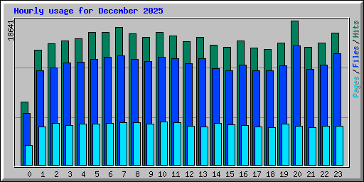 Hourly usage for December 2025
