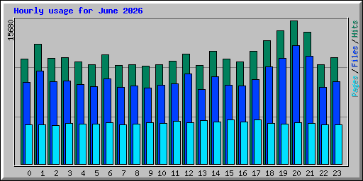 Hourly usage for June 2026