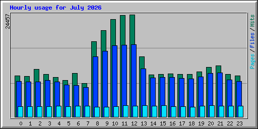 Hourly usage for July 2026