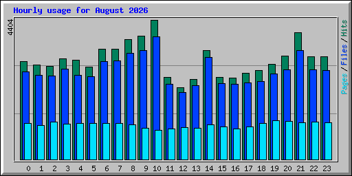 Hourly usage for August 2026